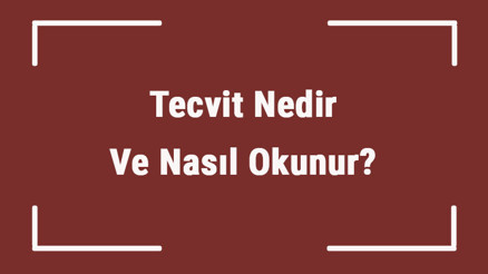 Tecvit Nedir Ve Nasıl Okunur Tecvit Kuralları Kısaca Bilgi Tecvit Nedir Ve Nasıl Okunur Tecvit Kuralları Kısaca Bilgi