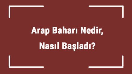 Arap Baharı Nedir, Nasıl Başladı Arap Baharının Nedenleri Ve Etkileti Nelerdir