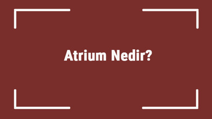 Atrium Nedir Mimari Yapıda Atrium Ne Anlama Gelir Atrium Özellikleri