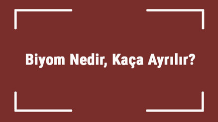 Biyom Nedir, Kaça Ayrılır Biyom Çeşitleri, Özellikleri Ve Örnekleri Biyom Nedir, Kaça Ayrılır Biyom Çeşitleri, Özellikleri Ve Örnekleri