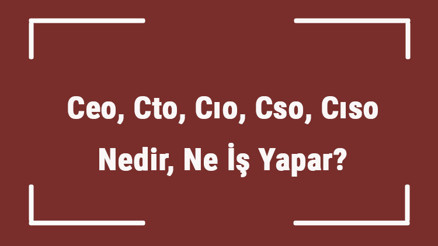 Ceo, Cto, Cıo, Cso, Cıso Nedir, Ne İş Yapar Terimlerin Açılımları Ve Görevileri..