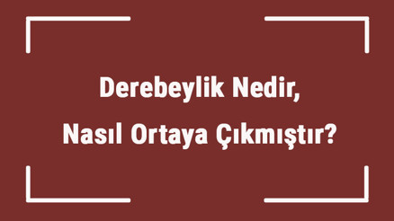Derebeylik Nedir, Nasıl Ortaya Çıkmıştır Derebeylik Yönetim Şekli Ve Özellikleri Nelerdir