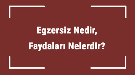 Egzersiz Nedir, Faydaları Nelerdir Aerobik, İnterval Ve İzometrik Egzersizler Nasıl Yapılır Egzersiz Nedir, Faydaları Nelerdir Aerobik, İnterval Ve İzometrik Egzersizler Nasıl Yapılır