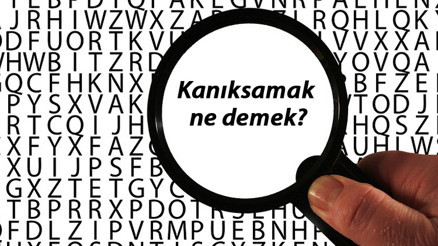 Kanıksamak ne demek TDKya göre kanıksamak kelimesinin anlamı nedir Kanıksamak sözlük anlamı Kanıksamak ne demek TDKya göre kanıksamak kelimesinin anlamı nedir Kanıksamak sözlük anlamı