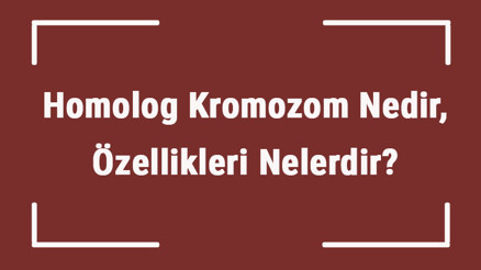 Homolog Kromozom Nedir, Özellikleri Nelerdir Homolog Koromozom Ayrılması Hangi Evrede Gerçekleşir Homolog Kromozom Nedir, Özellikleri Nelerdir Homolog Koromozom Ayrılması Hangi Evrede Gerçekleşir