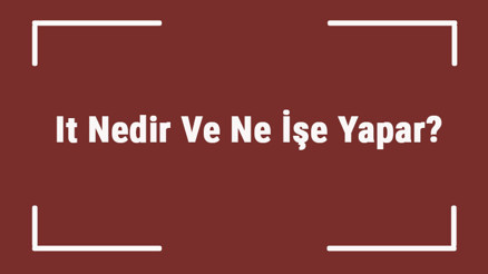 It Nedir Ve Ne İşe Yapar It Uzmanı Nasıl Olunur Ve Ve Hangi Bölüm Okunmalıdır It Uzmanı Maaşları Ve İş Olanakları It Nedir Ve Ne İşe Yapar It Uzmanı Nasıl Olunur Ve Ve Hangi Bölüm Okunmalıdır It Uzmanı Maaşları Ve İş Olanakları