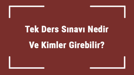 Tek Ders Sınavı Nedir Ve Kimler Girebilir Tek Ders Sınavı Ücretli Mi Başvurusu Nasıl Yapılır