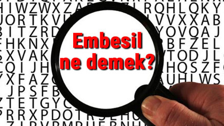 Embesil ne demek TDKya göre embesil kelimesinin anlamı nedir Embesil sözlük anlamı