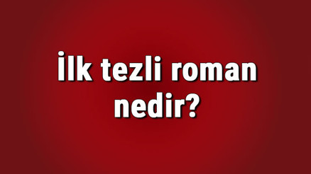 İlk tezli roman nedir İlk tezli roman örneği kime aittir Türk edebiyatında ilk tezli roman İlk tezli roman nedir İlk tezli roman örneği kime aittir Türk edebiyatında ilk tezli roman
