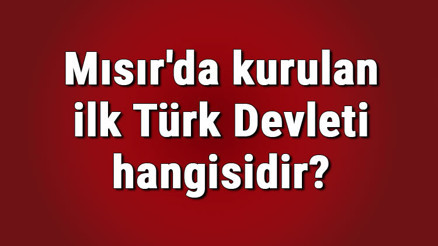 Mısırda kurulan ilk Türk Devleti hangisidir Mısırda kurulan ilk Türk İslam devletleri nelerdir