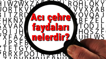Acı çehre faydaları nelerdir, ne işe yarar Acı çehre bitkisi ve tohumu nasıl kullanılır Acı çehre faydaları nelerdir, ne işe yarar Acı çehre bitkisi ve tohumu nasıl kullanılır