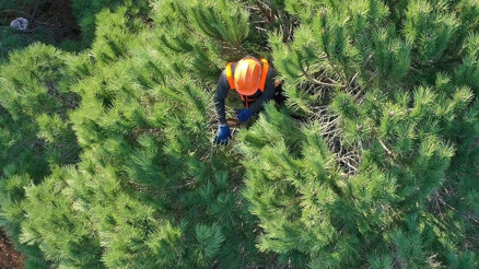OGM işçi alımı başvurusu sayfası: Toplam 2083 işçi alımı yapılacak İşte, İŞKUR OGM işçi alımı başvuru ekranı OGM işçi alımı başvurusu sayfası: Toplam 2083 işçi alımı yapılacak İşte, İŞKUR OGM işçi alımı başvuru ekranı