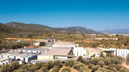 Kemalpaşa’dan 40 ülkeye turşu yolluyor