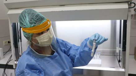 Son bir ayda yüzde 60 azaldı