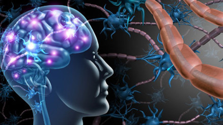 ALS hastalığı nedir, neden olur ALS belirtileri ve tedavisi hakkında merak edilenler