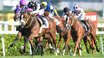 95. Gazi Koşusuna katılacak atlar belli oldu