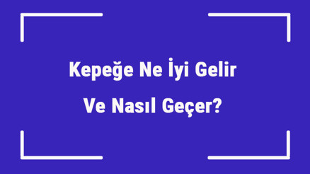 Kepeğe Ne İyi Gelir Ve Nasıl Geçer Kepek Nedenleri Ve Tedavisi
