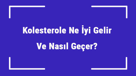 Kolesterole Ne İyi Gelir Ve Nasıl Geçer Kolesterol Nedenleri Ve Tedavisi