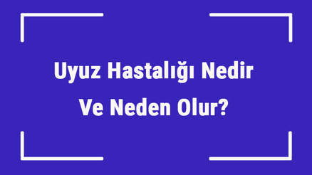 Uyuz Hastalığı Nedir Ve Neden Olur Uyuza Ne İyi Gelir Ve Nasıl Geçer Uyuz Hastalığı Edavisi