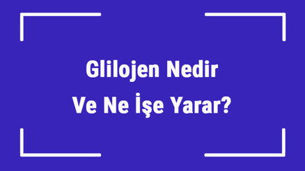 Glilojen Nedir Ve Ne İşe Yarar Glikojen Nelerde Bulunur Ve Nerede Depolanır