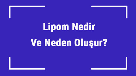 Lipom Nedir Ve Neden Oluşur Lipom (Yağ Bezesi) Belirtileri Ve Tedavisi Lipom Nedir Ve Neden Oluşur Lipom (Yağ Bezesi) Belirtileri Ve Tedavisi