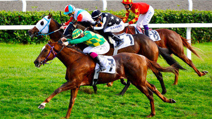 Gazi Koşusunda yarışacak atlar ve jokeyler Koşunun favorisi kim Gözler Ahmet Çelik ve Halis Karataşta ama...