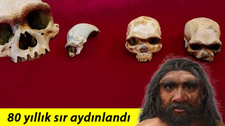 Çinli bilim insanları keşfetti... İnsanlık tarihi baştan yazılabilir Çinli bilim insanları keşfetti... İnsanlık tarihi baştan yazılabilir