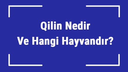 Qilin Nedir Ve Hangi Hayvandır Japoncada Qilin Anlamı Qilin Nedir Ve Hangi Hayvandır Japoncada Qilin Anlamı