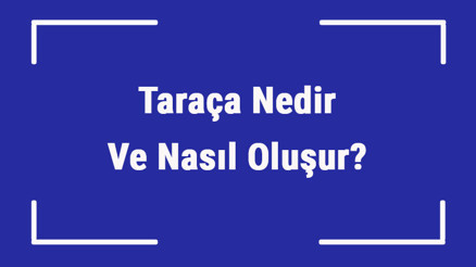 Taraça Nedir Ve Nasıl Oluşur Taraça Aşınım Mı Yoksa Birikim Midir Ve Nerelerde Görülür