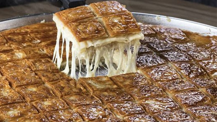 Börek, ekmek ve sos fabrikalarını inceledim