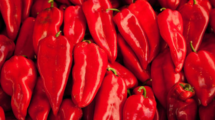 Kapya biberinin faydaları nelerdir Tatlı kırmızı biberin kalorisi ve besin değerleri
