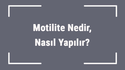 Motilite Nedir, Nasıl Yapılır Sperm Testinde Motilite Kaç Olmalıdır