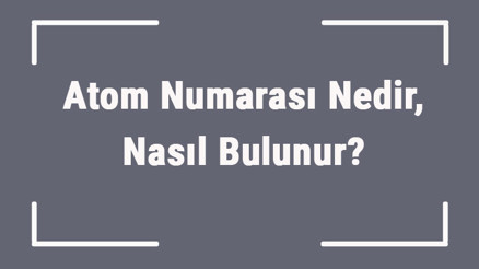 Atom Numarası Nedir, Nasıl Bulunur Atom Numarası En Büyük Ve En Küçük Olan Elementler.. Atom Numarası Nedir, Nasıl Bulunur Atom Numarası En Büyük Ve En Küçük Olan Elementler..