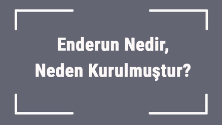 Enderun Nedir, Neden Kurulmuştur Enderun Mektebi Ne Zaman Kapatıldı Enderun Nedir, Neden Kurulmuştur Enderun Mektebi Ne Zaman Kapatıldı