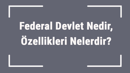 Federal Devlet Nedir, Özellikleri Nelerdir Federal Devlet Anlayışı Ve Sistemi Nedir