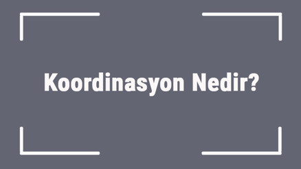 Koordinasyon Nedir Beden Eğitiminde Koordinasyon Hareketleri Nelerdir Koordinasyon Nedir Beden Eğitiminde Koordinasyon Hareketleri Nelerdir