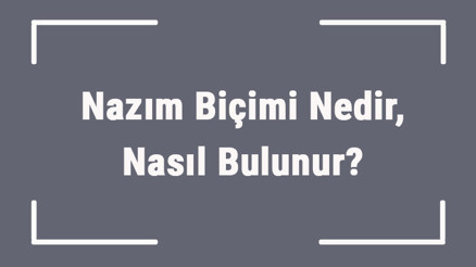 Nazım Biçimi Nedir, Nasıl Bulunur Nazım Biçimi Türleri Nelerdir
