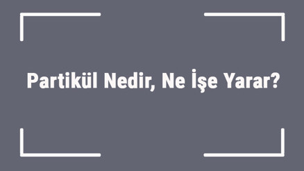 Partikül Nedir, Ne İşe Yarar Partikül Nasıl Temizlenir Partikül Nedir, Ne İşe Yarar Partikül Nasıl Temizlenir