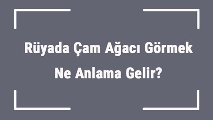 Rüyada Çam Ağacı Görmek Ne Anlama Gelir Rüyada Çam Ağacı Dikmek Ve Kesmek Anlamı