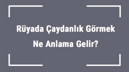 Rüyada Çaydanlık Görmek Ne Anlama Gelir Rüyada Çaydanlık Almak Ve Yıkamak Anlamı Rüyada Çaydanlık Görmek Ne Anlama Gelir Rüyada Çaydanlık Almak Ve Yıkamak Anlamı
