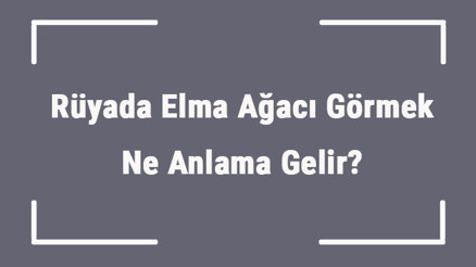 Rüyada Elma Ağacı Görmek Ne Anlama Gelir Rüyada Elma Ağacı Altında Oturmak Ve Uyumak Anlamı