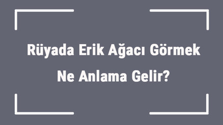 Rüyada Erik Ağacı Görmek Ne Anlama Gelir Rüyada Erik Ağacı Almak Ve Dikmek Anlamı
