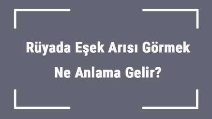 Rüyada Eşek Arısı Görmek Ne Anlama Gelir Rüyada Eşek Arısı Sokması Ve Kovalaması Anlamı