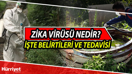 Zika virüsü nedir, belirtileri nelerdir Hindistanda yeniden görülen Zika virüs hastalığı bulaşıcı mı İşte tedavi yöntemleri