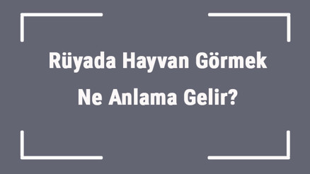 Rüyada Hayvan Görmek Ne Anlama Gelir Rüyada Hayvan Beslemek, Almak Ve Kesmek Tabiri