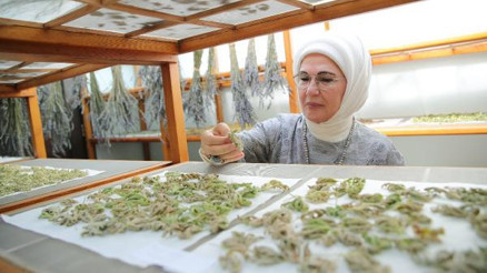 Emine Erdoğan, Zeytinburnu Tıbbi Bitkiler Bahçesini ziyaret etti Emine Erdoğan, Zeytinburnu Tıbbi Bitkiler Bahçesini ziyaret etti