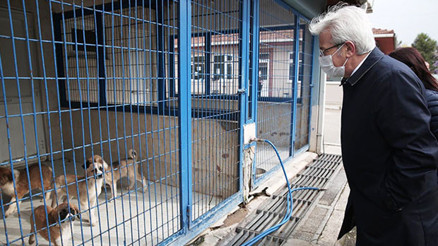 ‘Onay çıkarsa hemen yaparız’