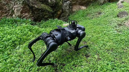 Bir dönüm noktası: Robotlar insanlara bir adım daha yaklaştı