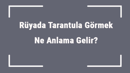 Rüyada Tarantula Görmek Ne Anlama Gelir Rüyada Tarantula Isırması Ve Kovalaması Rüyada Tarantula Görmek Ne Anlama Gelir Rüyada Tarantula Isırması Ve Kovalaması