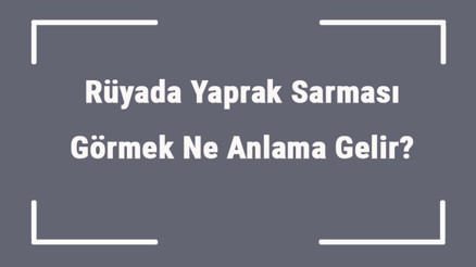 Rüyada Yaprak Sarması Görmek Ne Anlama Gelir Rüyada Yaprak Sarması Yemek Ve Almak Tabiri